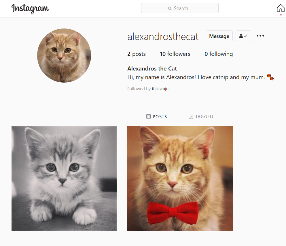 Screenshot of Instagram profile for alexandrosthecat. There are two posts, a black and white photo of a cat and a coloured photo of (presumably) the same cat with a red bow. The account has 9 followers and is following no one.