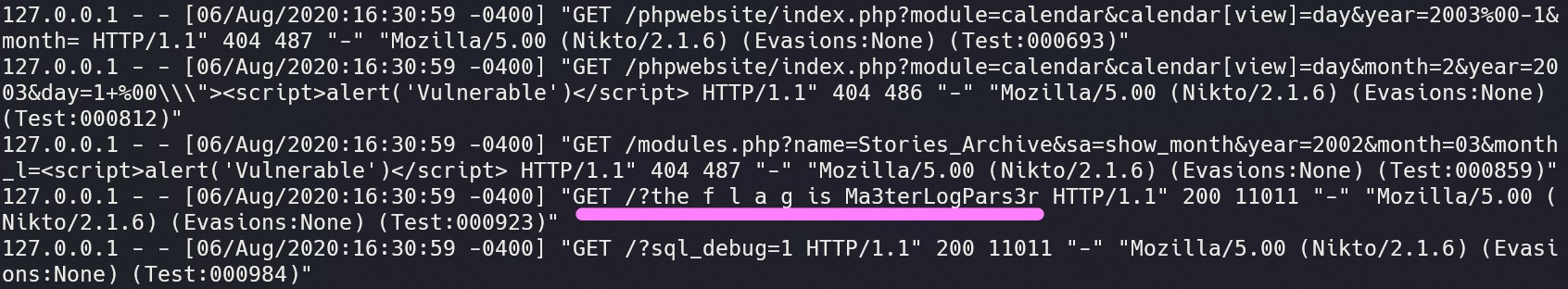 Terminal screenshot of filtered access log