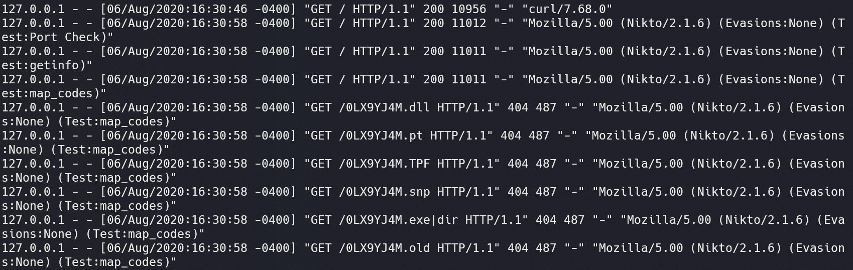 Terminal screenshot of access log