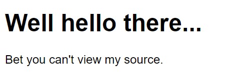 Screenshot of website; title says “Well hello there…” with text “Bet you can’t view my source”